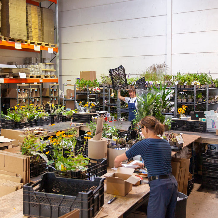 Sprinklr's impact 2022