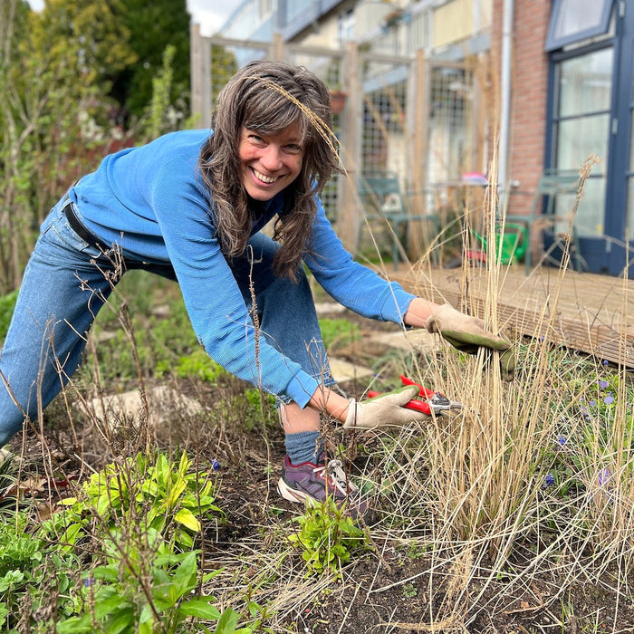 Voorjaar! Zo knip je de oude plantdelen weg