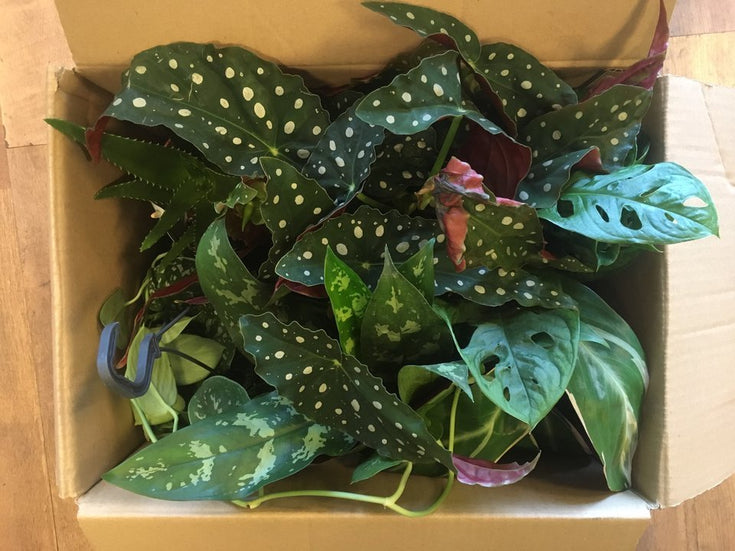 Waarom we de verzendkosten verhoogden