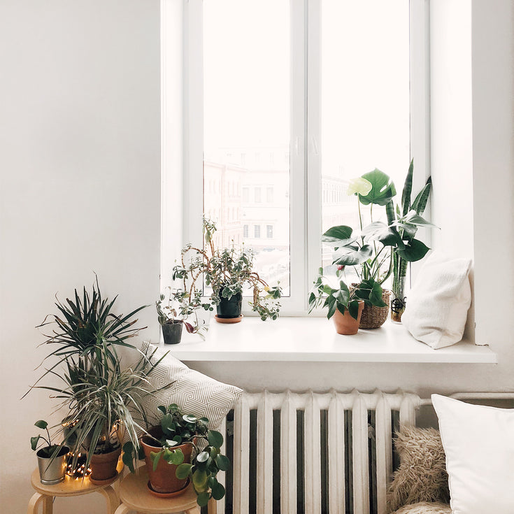 De verwarmingsziekte