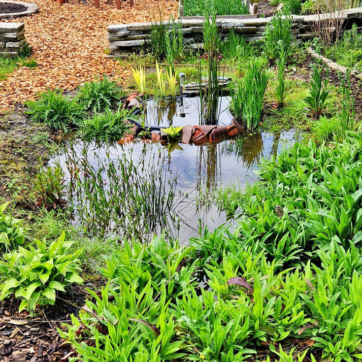 Maak je tuin klimaatbestendig, leg een wadi aan!