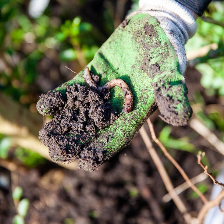 Goede bodem of tuingrond. Hoe krijg je dat?