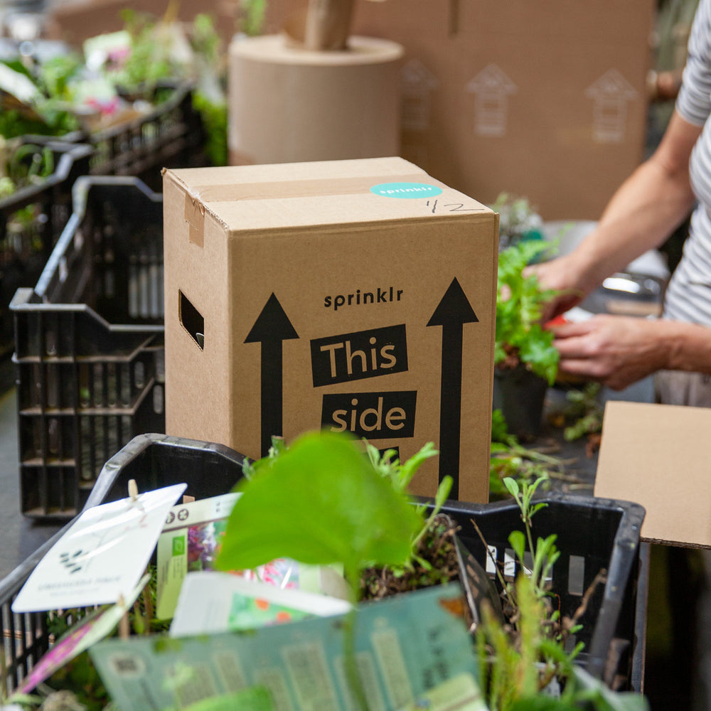 Waarom we geen 1 of 2 planten nasturen