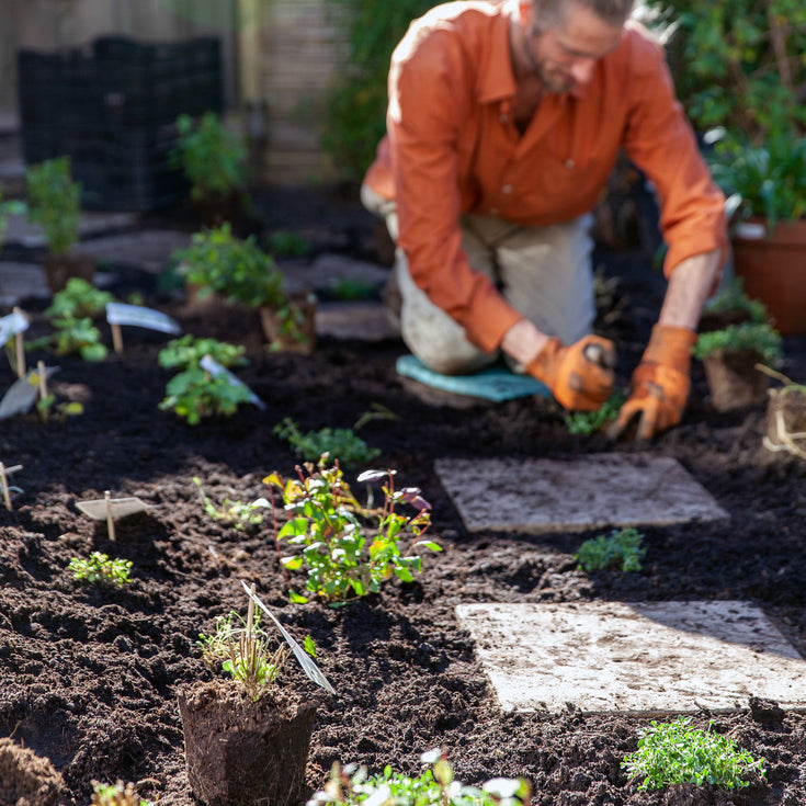 Tips voor een pad van stapstenen!