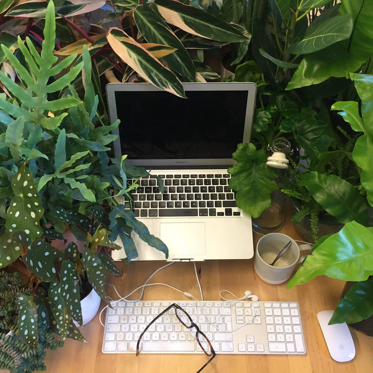 Werken bij Sprinklr?