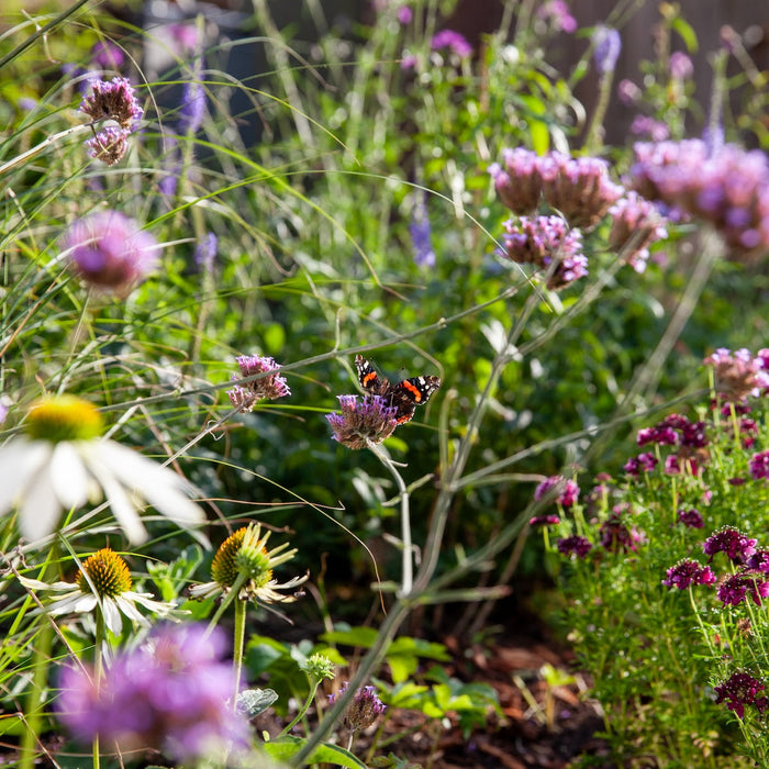 Tuinier voor de toekomst: tuinier voor biodiversiteit