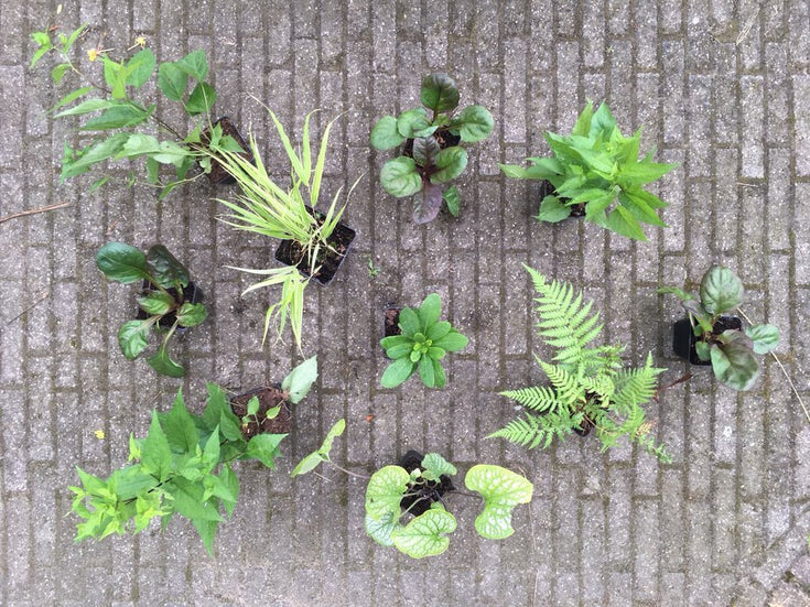 Waarom kleinere potjes duurzamer zijn