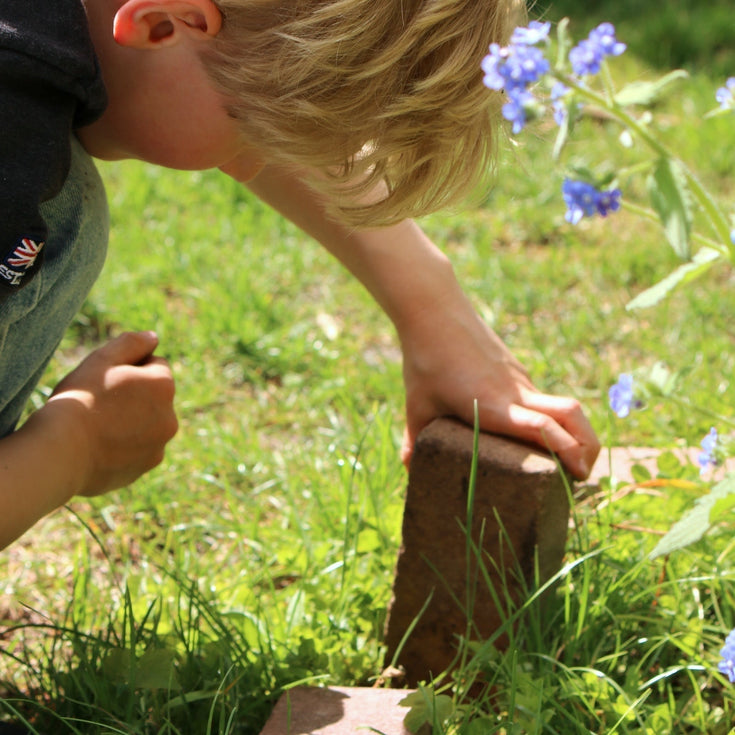 Vijf tips voor de leukste tuinsafari