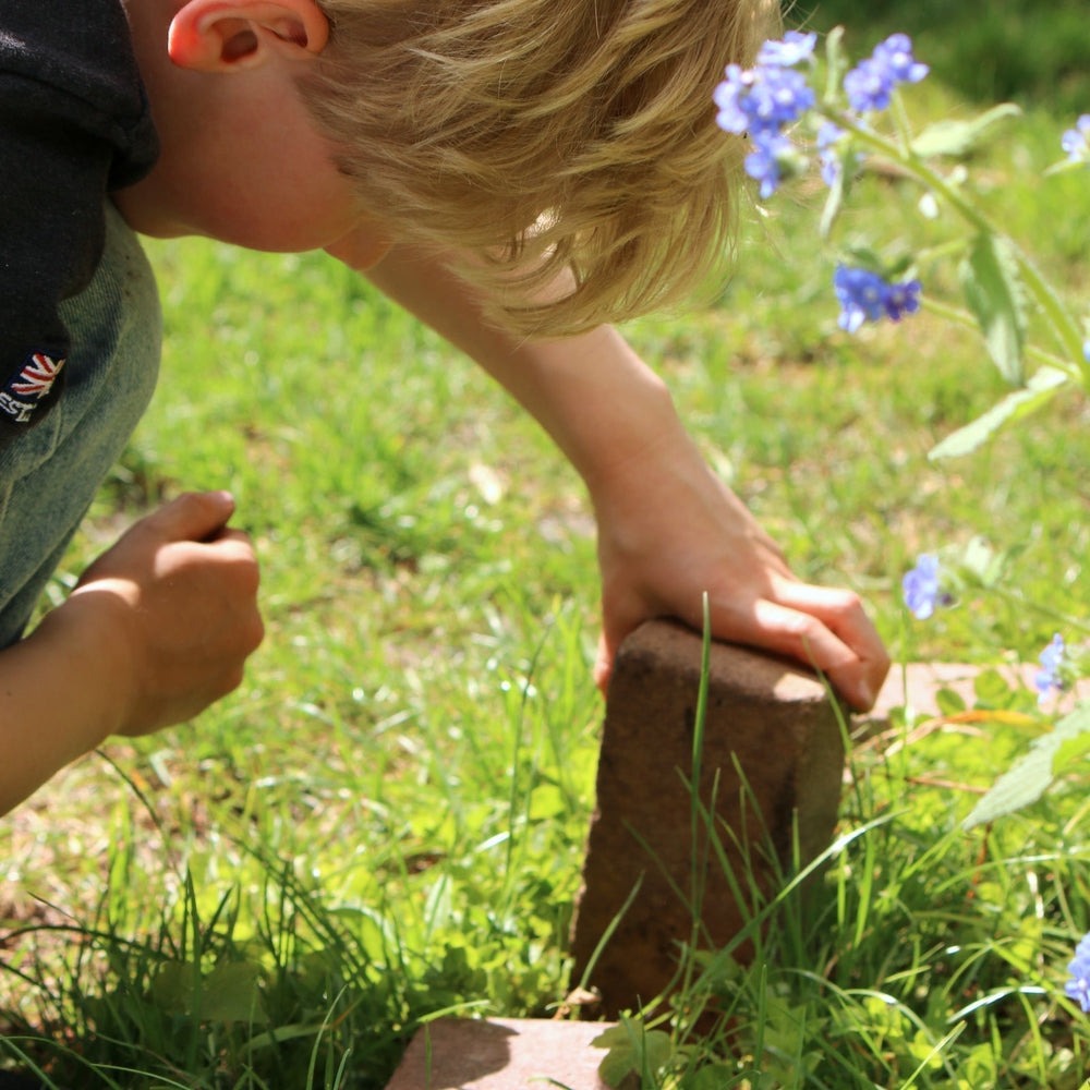 Vijf tips voor de leukste tuinsafari