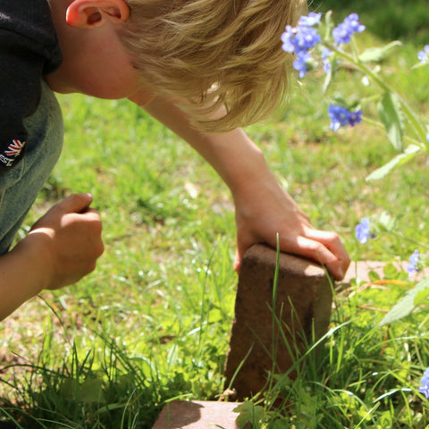 Zes tips voor de leukste tuinsafari