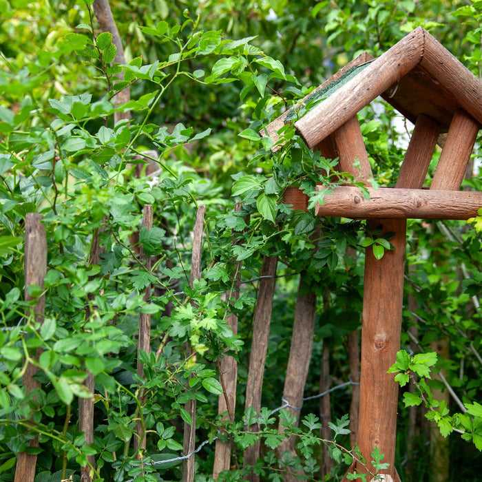 Tuinen vol inheemse bosjes, hagen en leven!