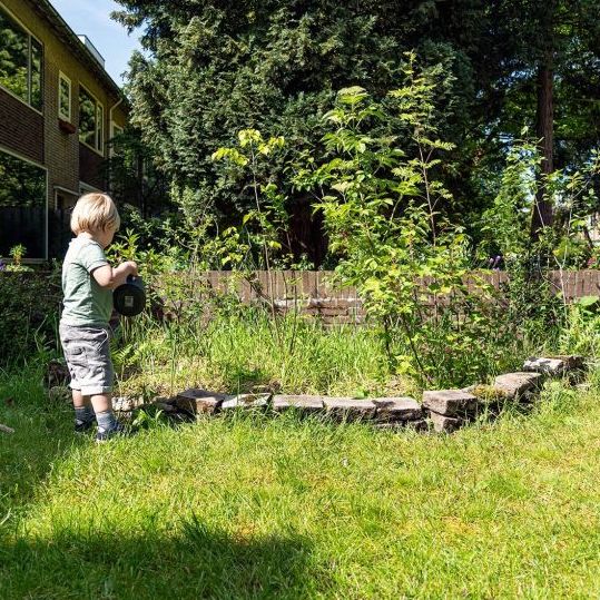 Tuiny Forest onderhoud en snoeikalender