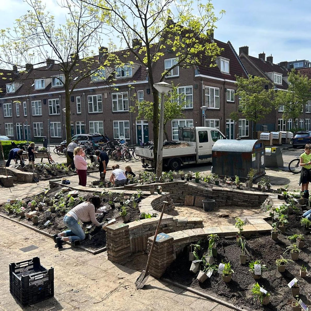 Vergroen je buurt met hulp van je gemeente!