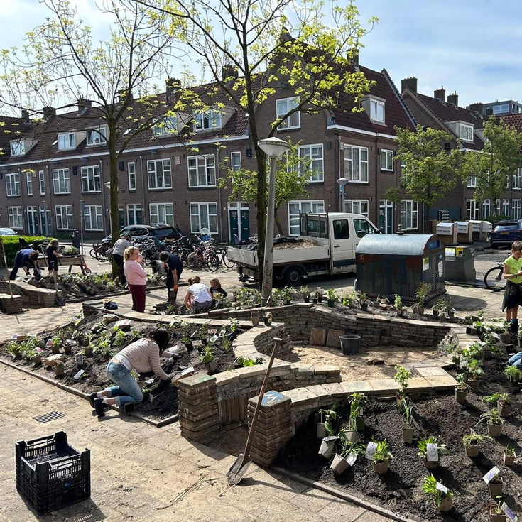 Vergroen je buurt met hulp van je gemeente!
