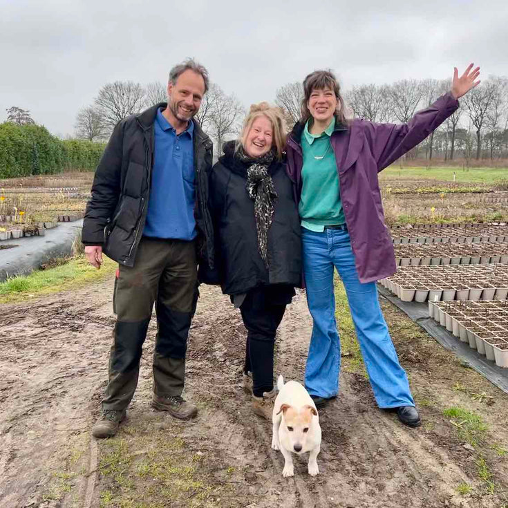 Plant niet te krijgen? Wanhoop niet: nieuwe oogst is aanstaande
