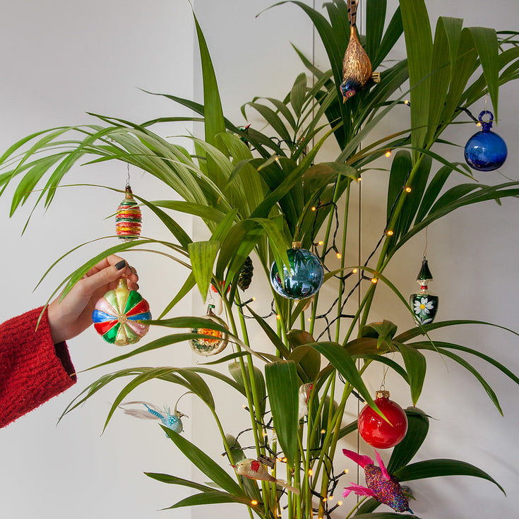 Duurzame kerst? Versier een kerstplant!