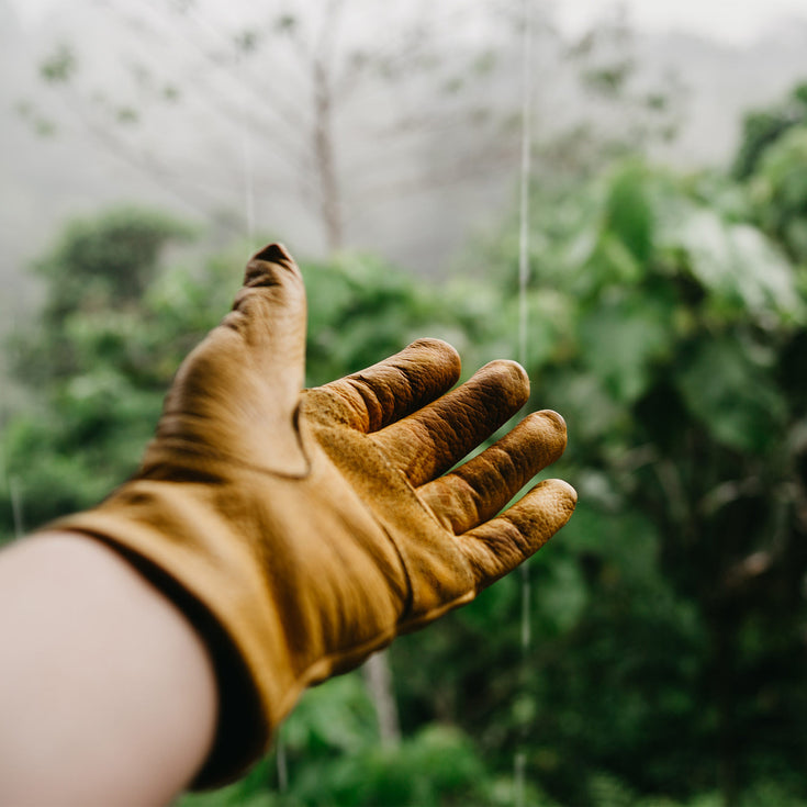 Tuiny Forest, hoe dan?!