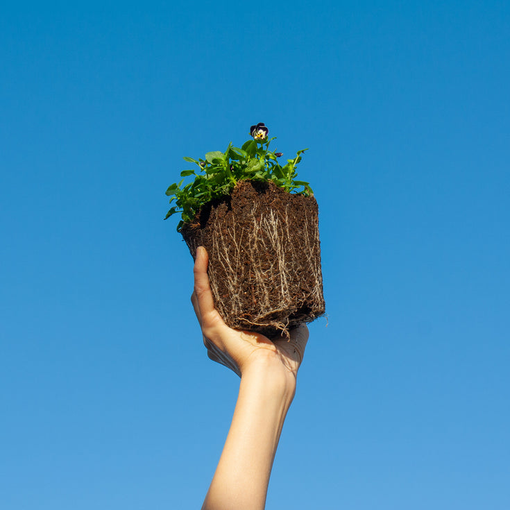 Waarom perkgoed slecht is voor het klimaat. En wat je beter kan kopen!