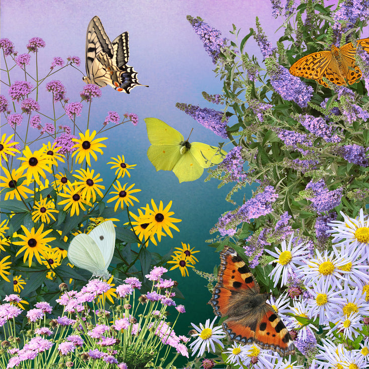 Met ASN voor meer biodiversiteit!