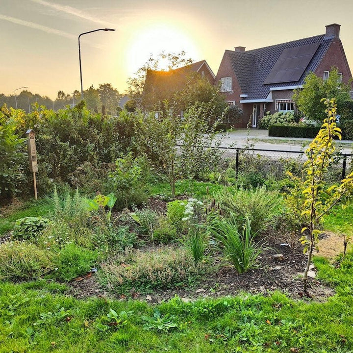 Een Voedselbosje in alle seizoenen, kijk mee!