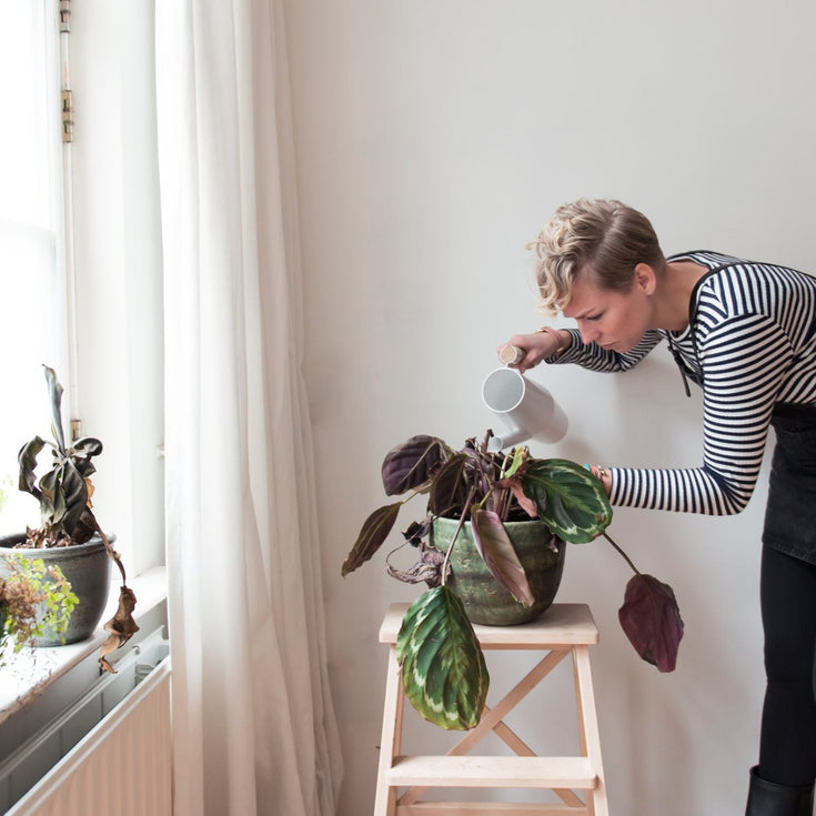 Zo verzorg je je minkukel