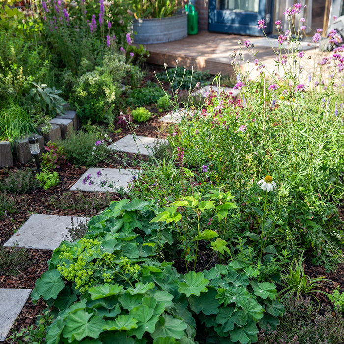 De klimaatbestendige tuin: maak van je tuin een sponstuin!
