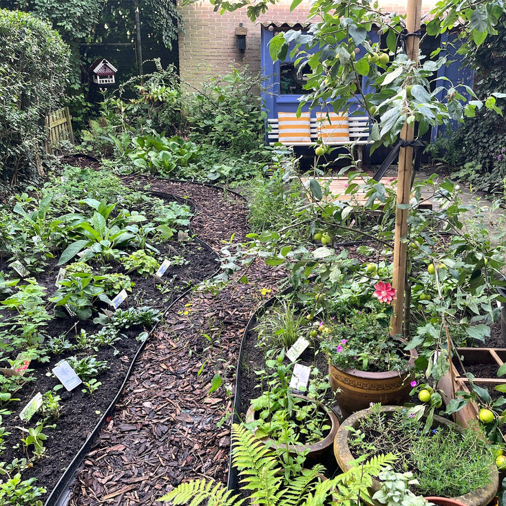 De mooiste groeireportages... en een winnaar!