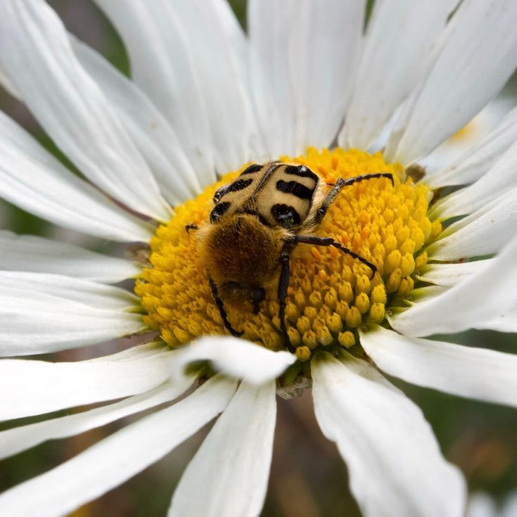Iedereen op tuinsafari! En wie heeft er gewonnen?