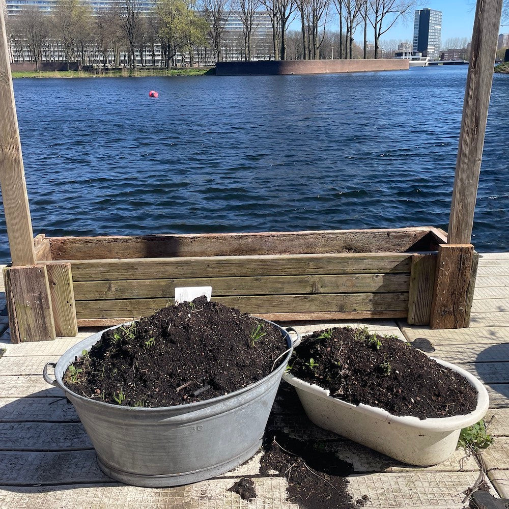 Zo maak je zelf veenvrije potgrond voor je tuinplanten