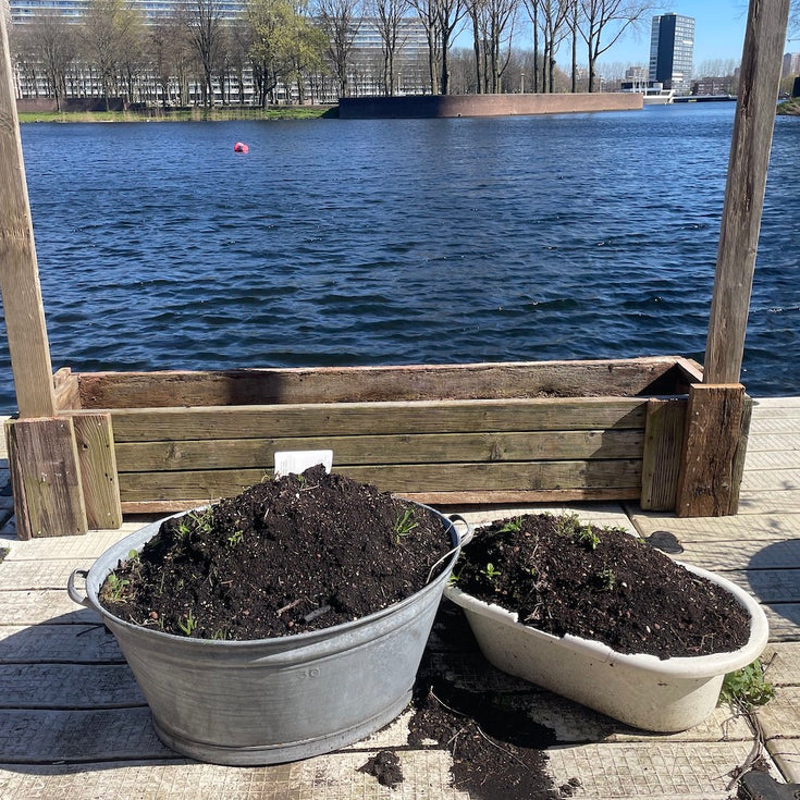 Zo maak je zelf veenvrije potgrond voor je tuinplanten