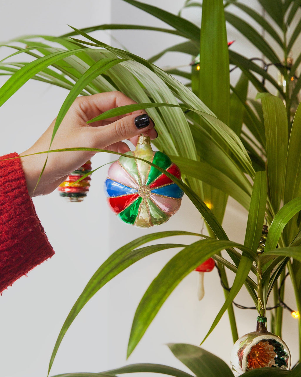 zak met biologische krokus bollen