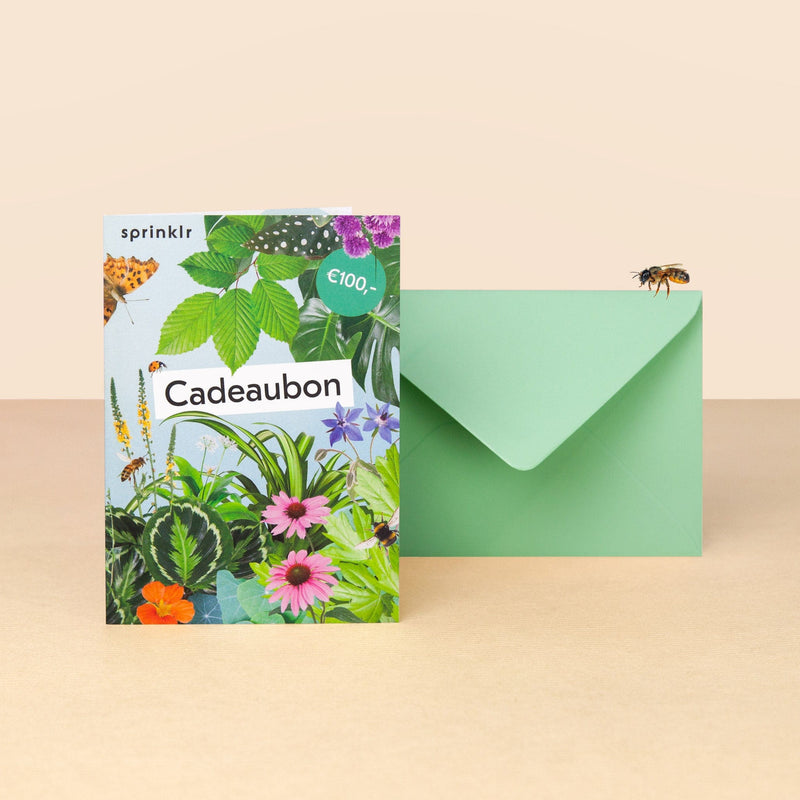 cadeaubon, kaart met collage van bloemen en planten en groene envelop
