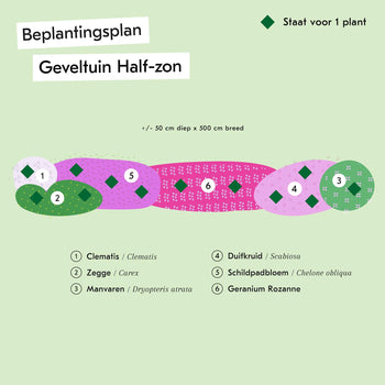 Venloos Geveltuintje Half-Zon