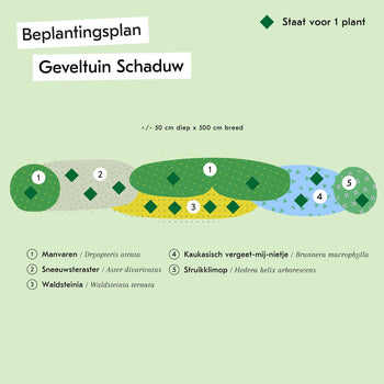 Geveltuin Schaduw