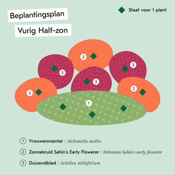 Vurig Half-zon / Zon
