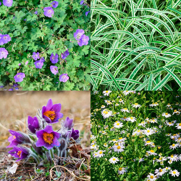 Pottentuintje Half-zon