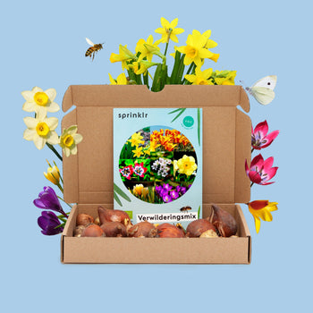 Brievenbuscadeau Verwilderingsmix