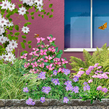 Venloos Geveltuintje Half-Zon