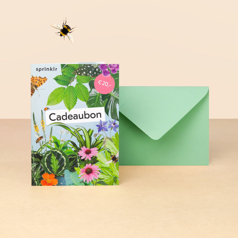 cadeaubon, kaart met collage van bloemen en planten en groene envelop