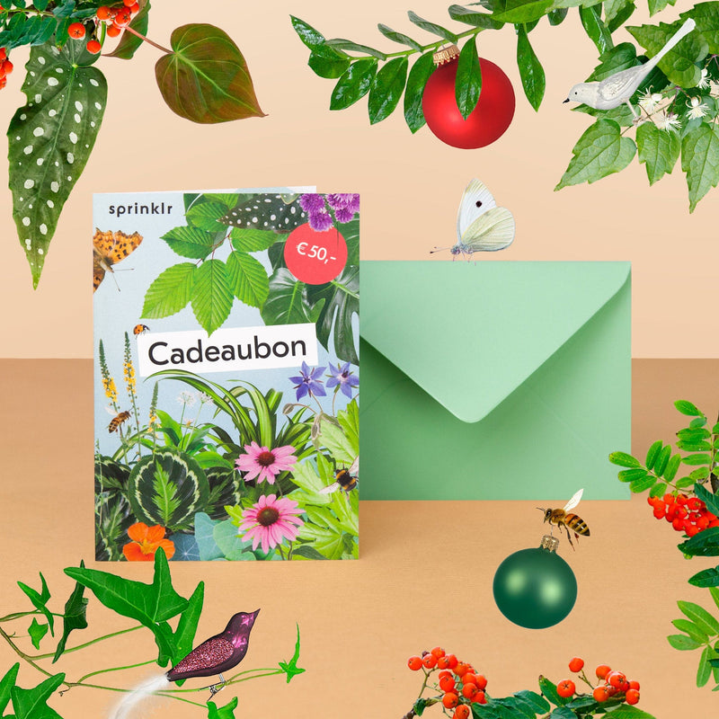 Fysieke Cadeaubon