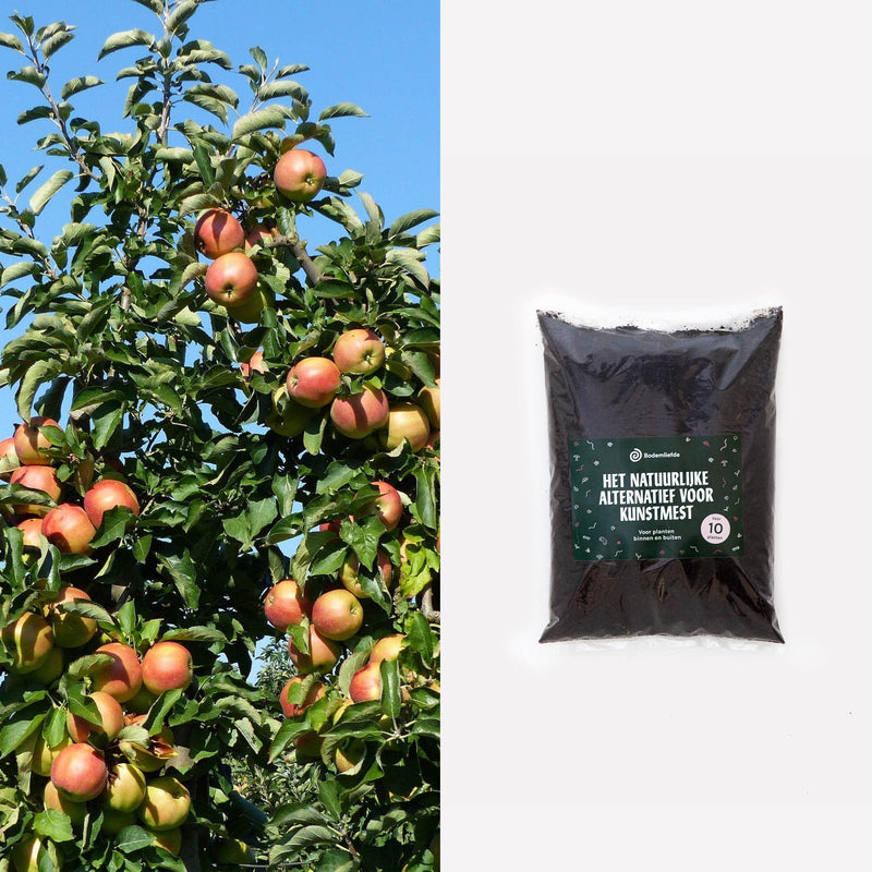 appelboom met zak bodemliefde