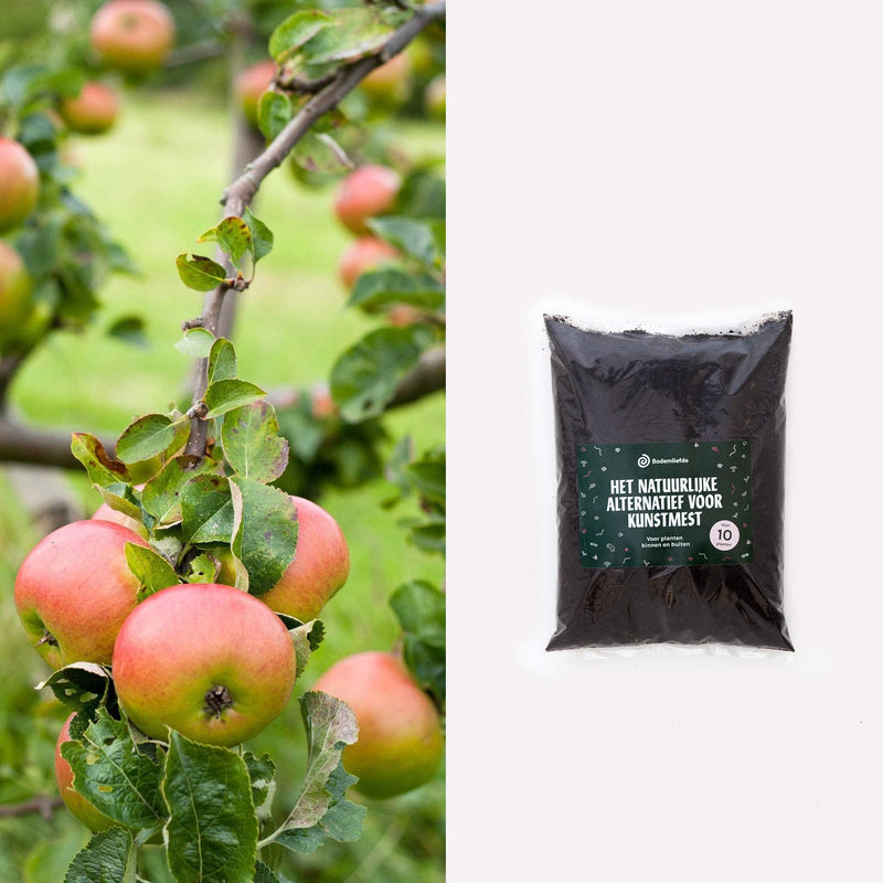 appelboom summerred met zak bodemliefde
