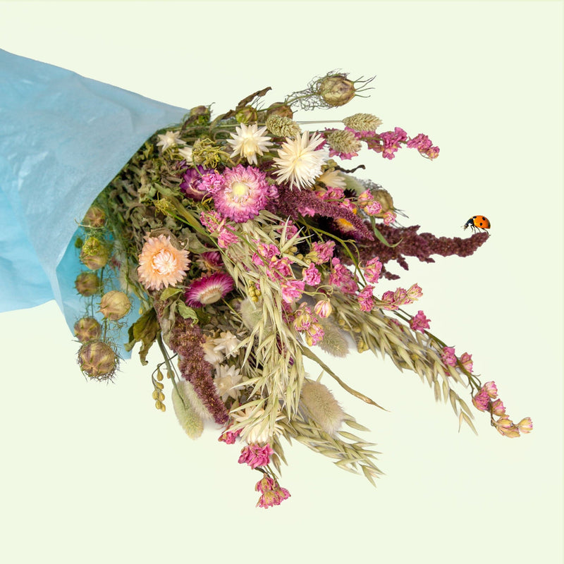 Boeket van biologische droogbloemen met verschillende tinten roze in een blauw papiertje