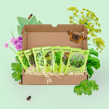 Zadenpakketje Kruiden