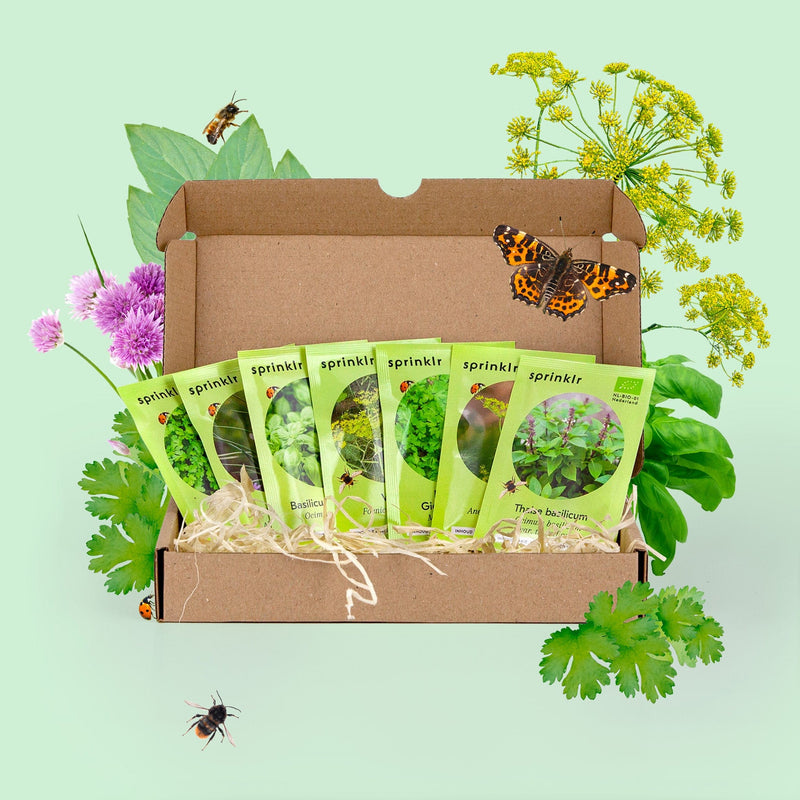 Vrolijk doosje met groene biologische zadenzakjes van Sprinklr voor Kruiden