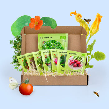 Zadenpakketje Moestuin