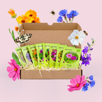 Zadenpakketje Pluktuin