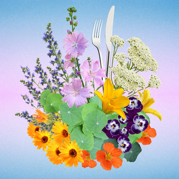 Eetbare Bloementuintje