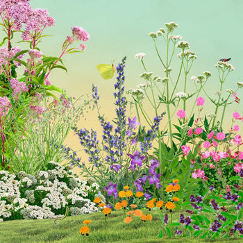 Borderpakket Inheems