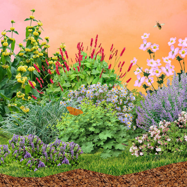 Borderpakket Robuust